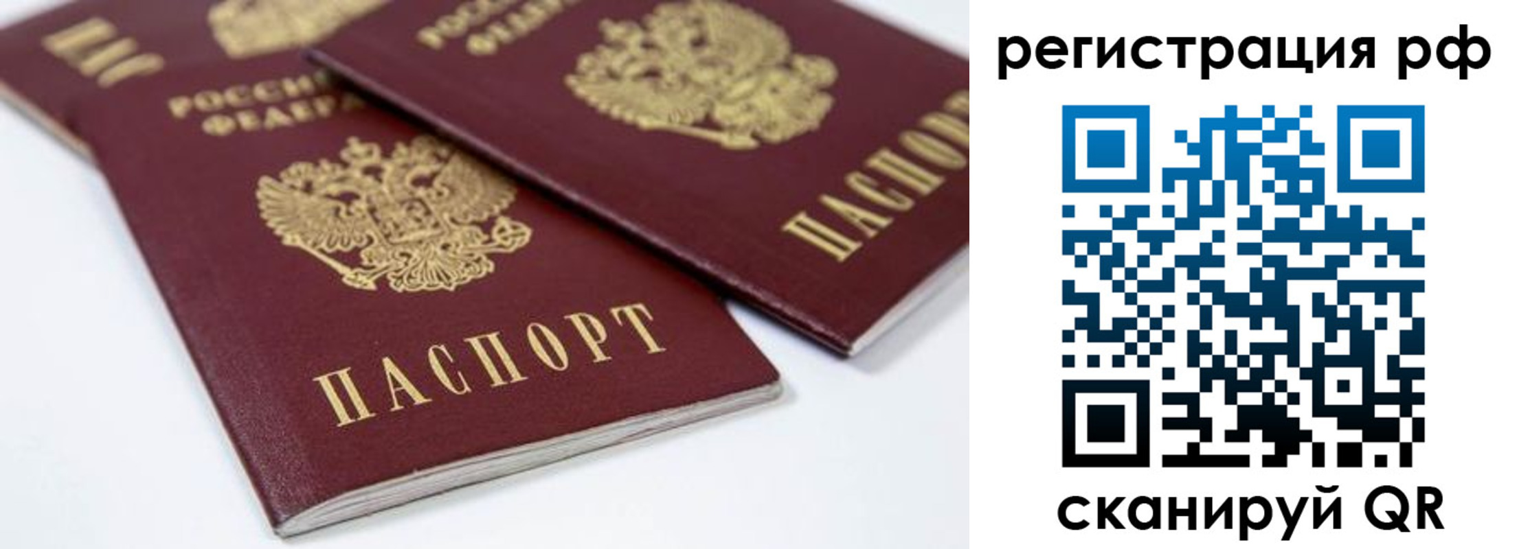 прописка регистрация в Владимирской области